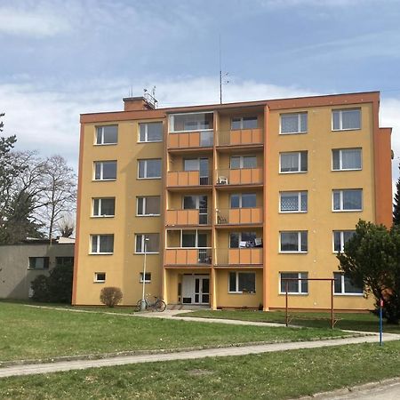 Apartman Ve Velkych Losinach Velké Losiny Εξωτερικό φωτογραφία
