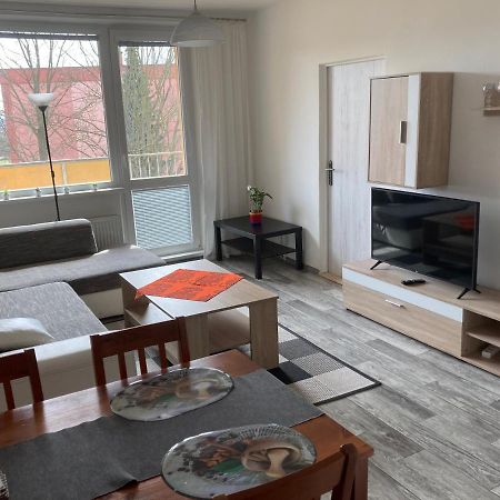 Apartman Ve Velkych Losinach Velké Losiny Εξωτερικό φωτογραφία